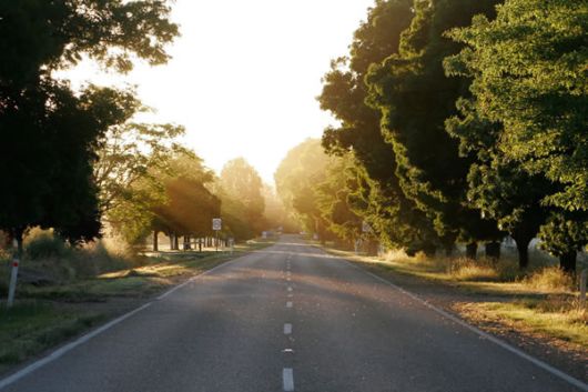 Amazing Roads And Paths Photography