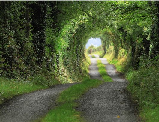 Amazing Roads And Paths Photography