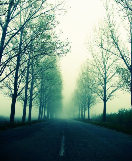 Amazing Roads And Paths Photography