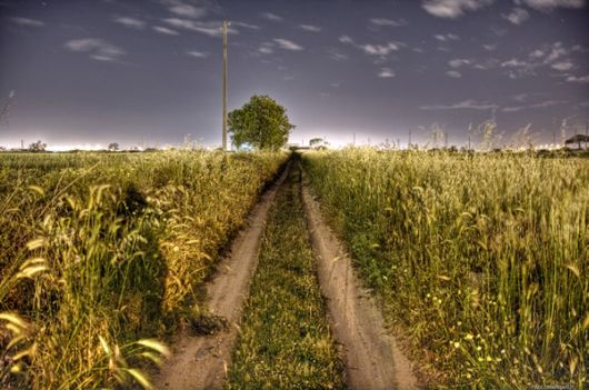 Amazing Roads And Paths Photography