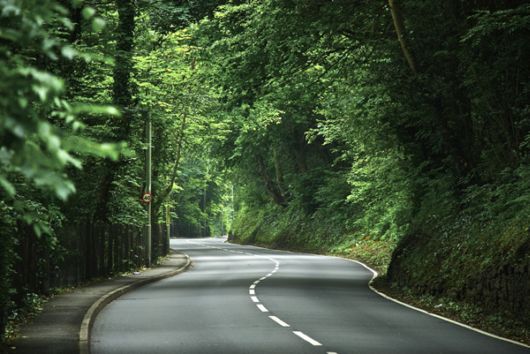 Amazing Roads And Paths Photography