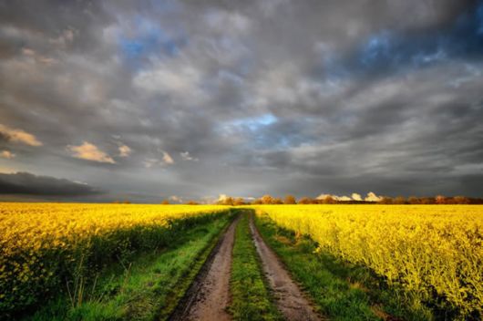 Amazing Roads And Paths Photography