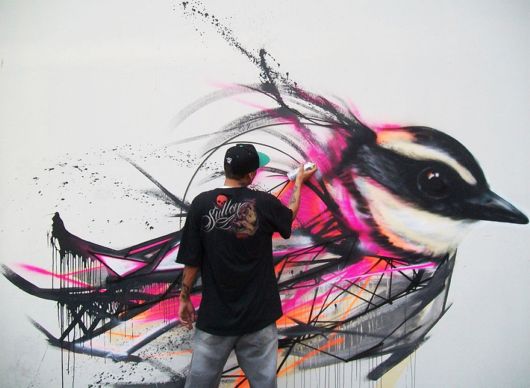 Mesmerizing Graffiti Birds On The Streets Of Brazil