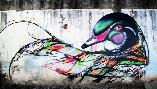 Mesmerizing Graffiti Birds On The Streets Of Brazil