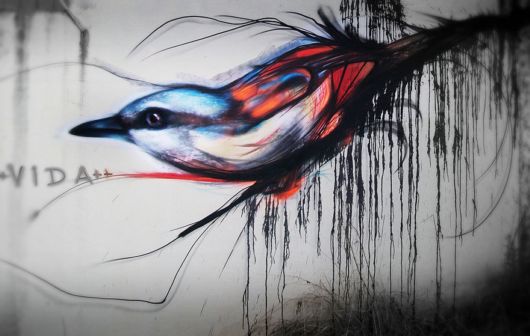 Mesmerizing Graffiti Birds On The Streets Of Brazil