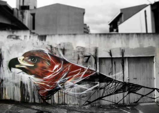 Mesmerizing Graffiti Birds On The Streets Of Brazil
