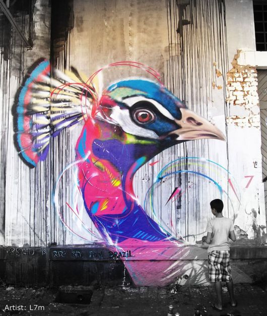 Mesmerizing Graffiti Birds On The Streets Of Brazil