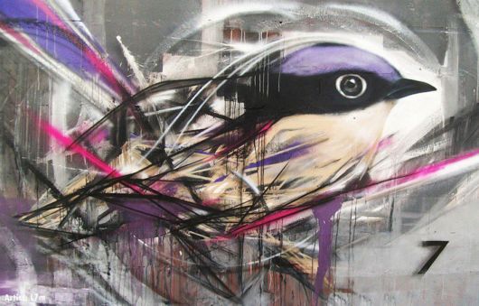 Mesmerizing Graffiti Birds On The Streets Of Brazil