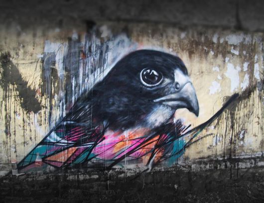 Mesmerizing Graffiti Birds On The Streets Of Brazil