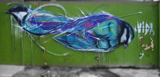 Mesmerizing Graffiti Birds On The Streets Of Brazil