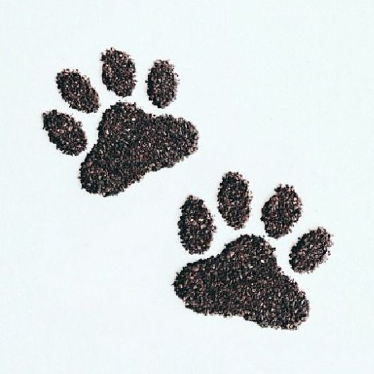 Beautiful Ground Coffee Art