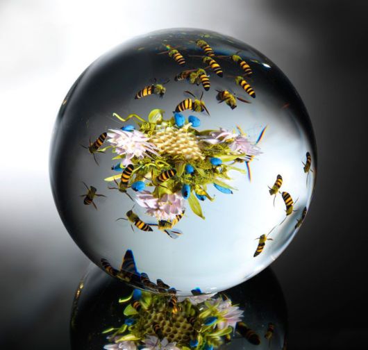 Miniature Gardens Encased in Clear Glass Orbs