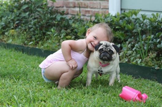 Cute Babies with Cute Dogs