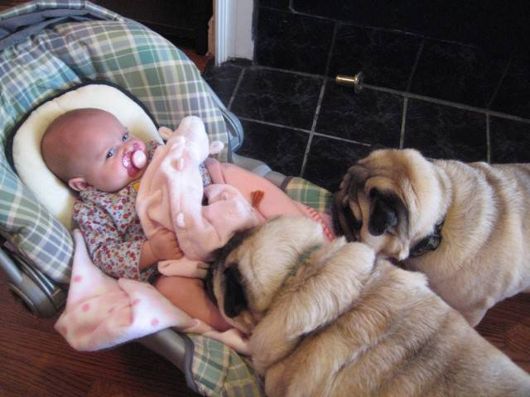 Cute Babies with Cute Dogs