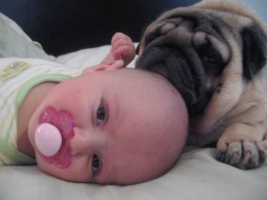 Cute Babies with Cute Dogs
