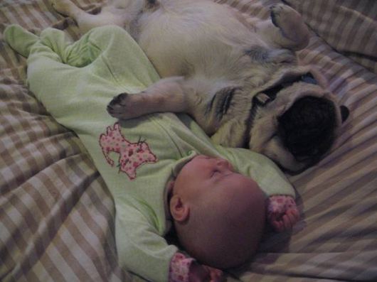 Cute Babies with Cute Dogs