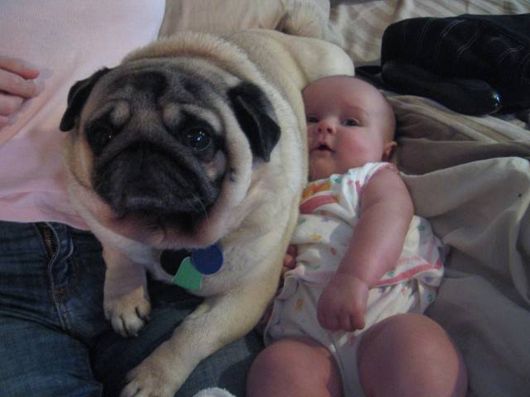 Cute Babies with Cute Dogs