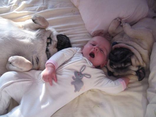 Cute Babies with Cute Dogs