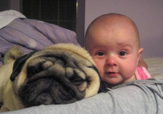 Cute Babies with Cute Dogs