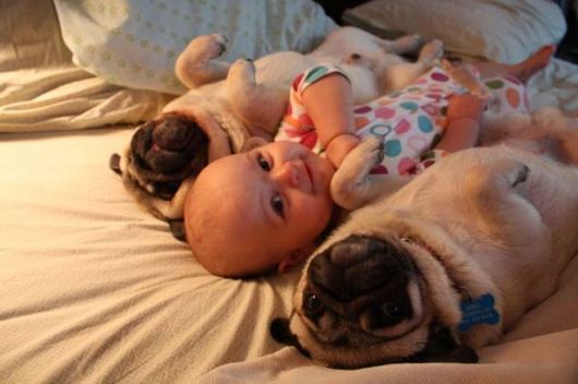 Cute Babies with Cute Dogs
