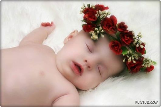 Cute Collection of Cute Babies