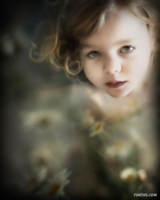 The Cutest Babies Collection