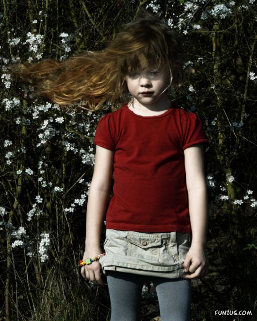 The Cutest Babies Collection