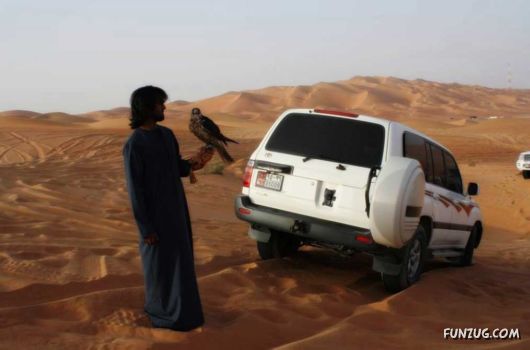 Types Of Vehicles Used In Desert Safari