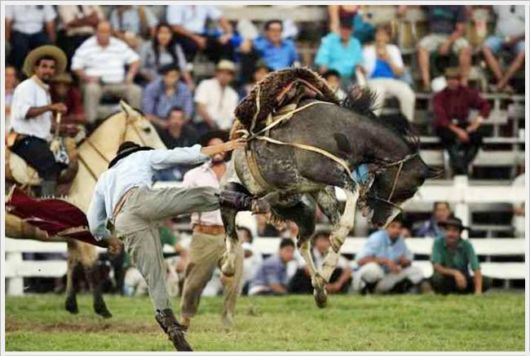 Horse Taming Competition At Patria Gaucha Festival