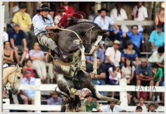 Horse Taming Competition At Patria Gaucha Festival