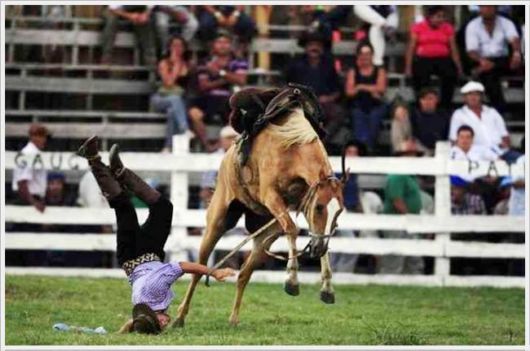 Horse Taming Competition At Patria Gaucha Festival