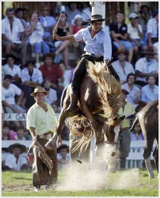 Horse Taming Competition At Patria Gaucha Festival