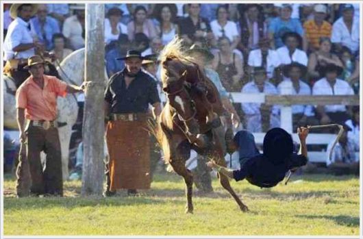 Horse Taming Competition At Patria Gaucha Festival