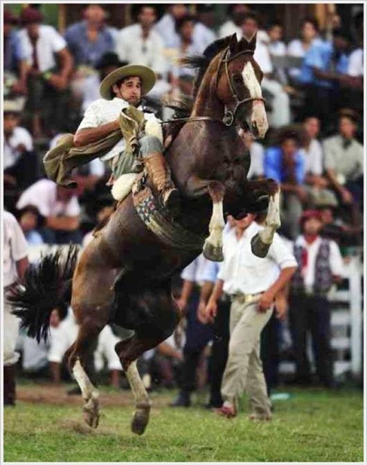 Horse Taming Competition At Patria Gaucha Festival