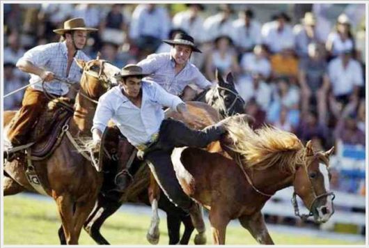 Horse Taming Competition At Patria Gaucha Festival