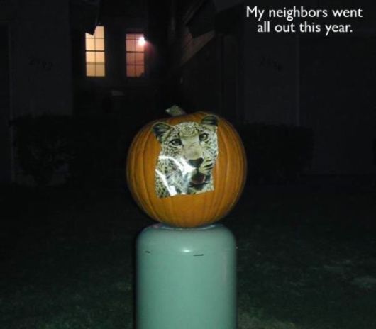 The Laziest Things To Ever Happen