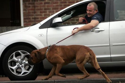 The Laziest Things To Ever Happen