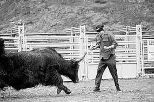 When 'Oh Shit' is the Correct Word!