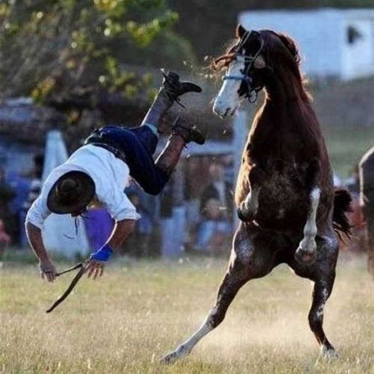 When 'Oh Shit' is the Correct Word!