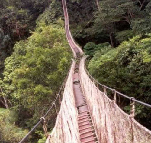 When 'Oh Shit' is the Correct Word!