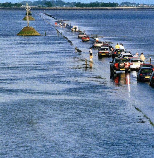 When 'Oh Shit' is the Correct Word!