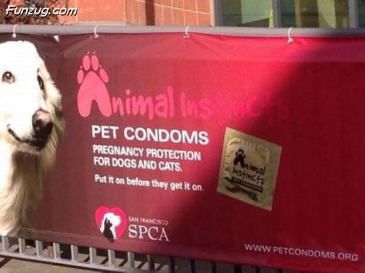 Well, That Is Really Awkward