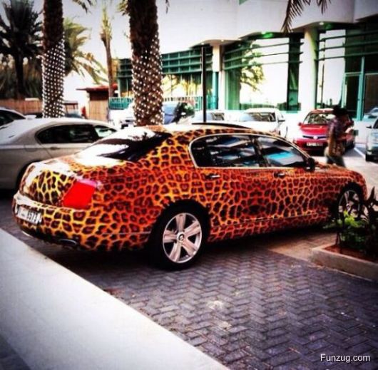 Enter The Tool Box At Your Own Risk