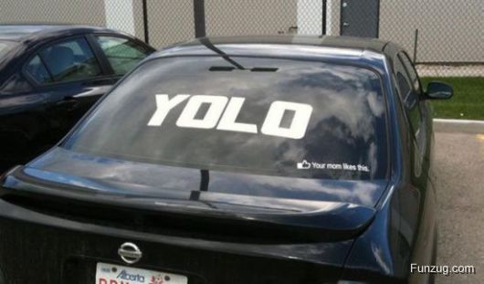 Enter The Tool Box At Your Own Risk