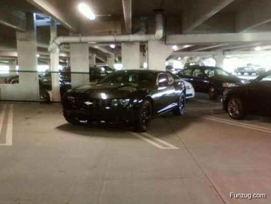 Enter The Tool Box At Your Own Risk