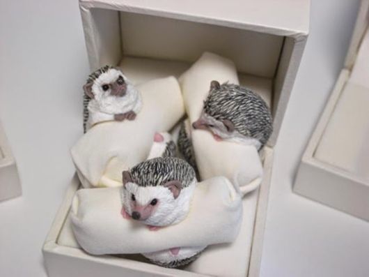 Artistic Animals Finger Rings