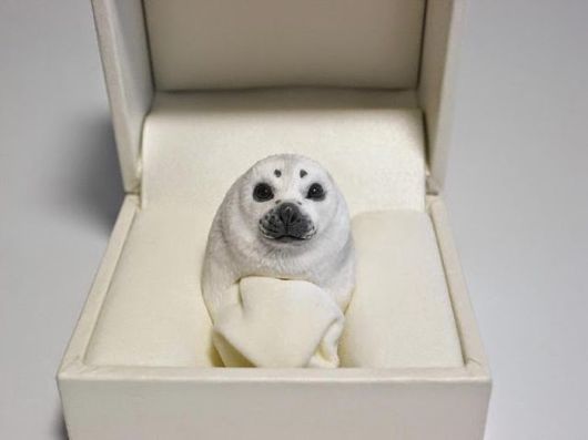 Artistic Animals Finger Rings