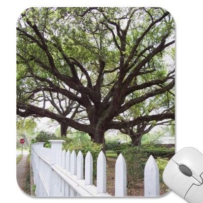 Most Creative Mouse Pads