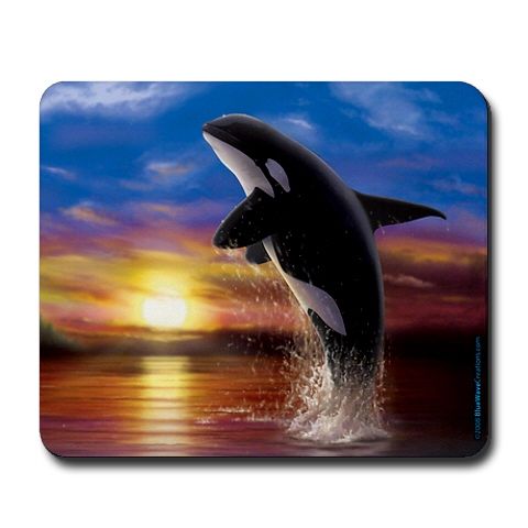 Most Creative Mouse Pads