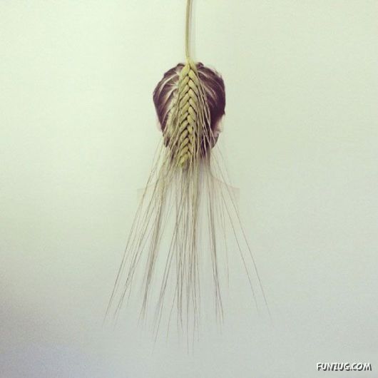 Everyday Objects Turned Into Clever Images